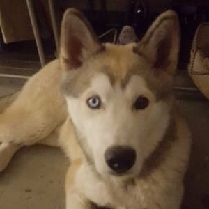 Meet your Posher, Lily